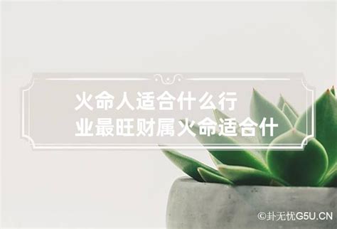 属火的人适合什么行业